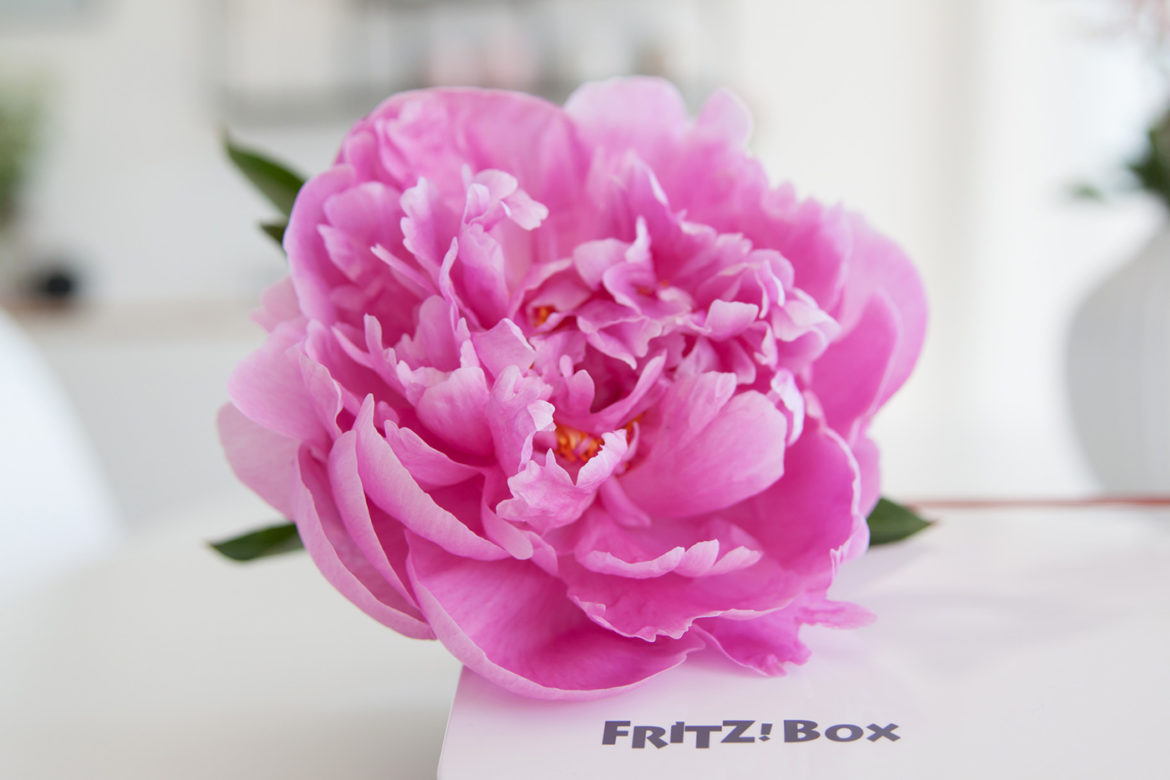 Fritz Box in weiß