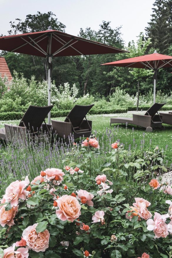 Naturhotel Wellnessresort Schindelbruch