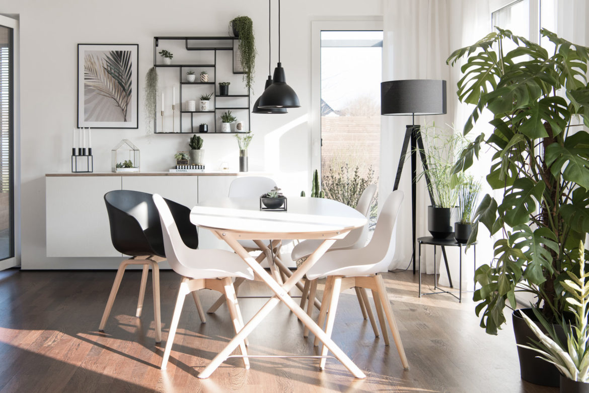 Einrichten mit Zimmerpflanzen