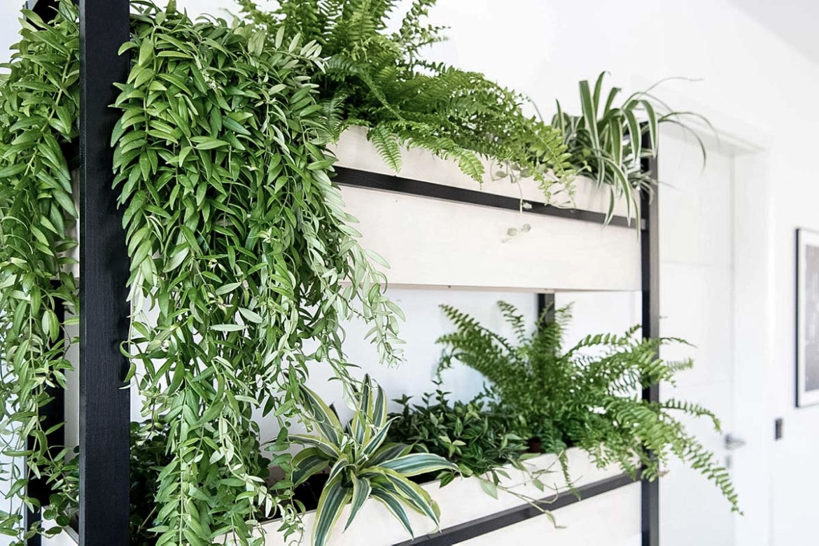 DIY Regal Vertical Garden