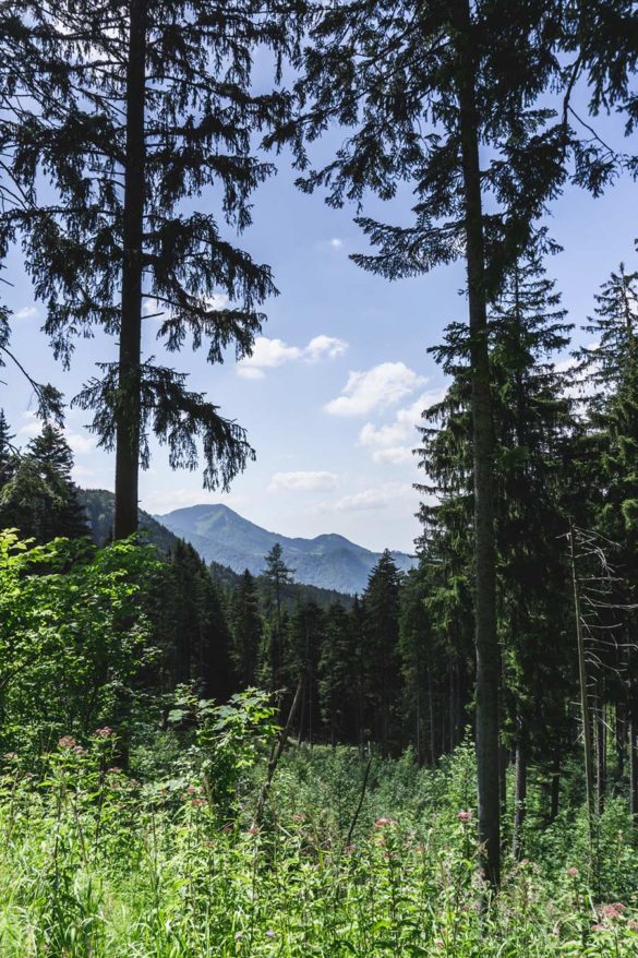 Chiemsee Kampenwand mit dem E-Bike